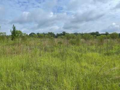 Residential Land For Sale in Ailey, Georgia