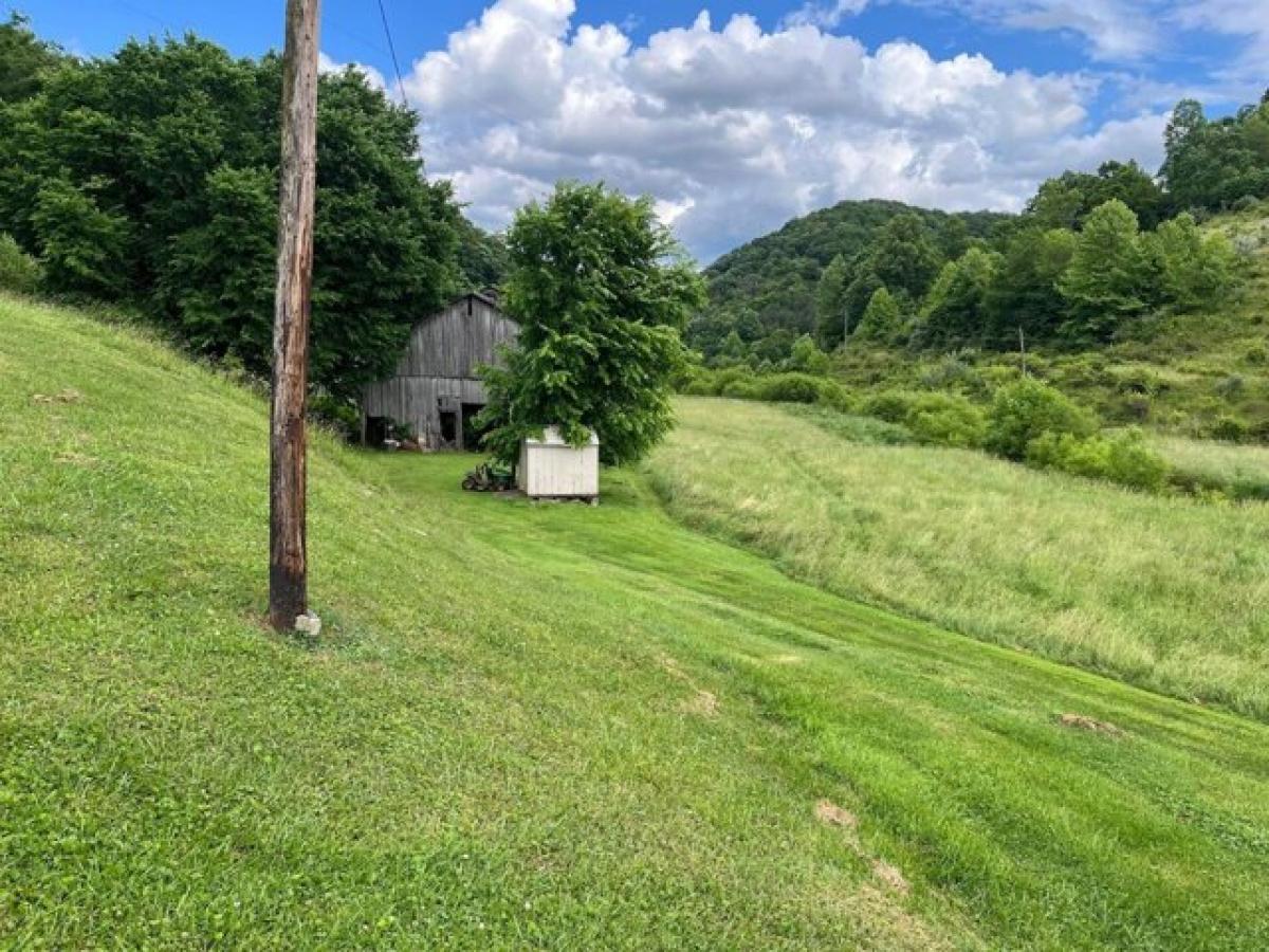 Picture of Home For Sale in Chloe, West Virginia, United States