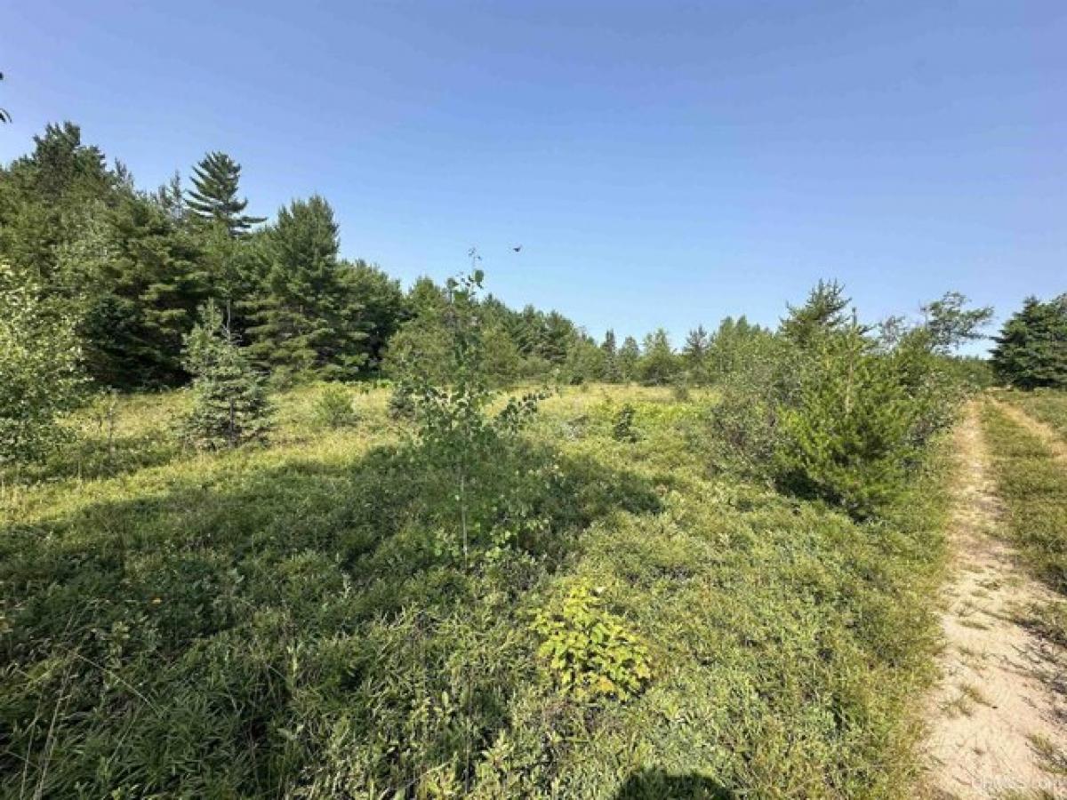 Picture of Residential Land For Sale in Gwinn, Michigan, United States