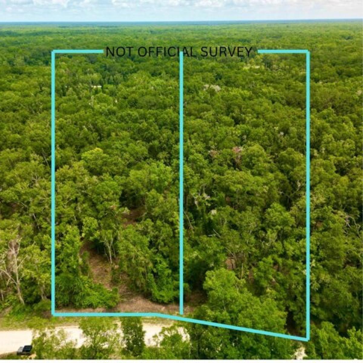 Picture of Residential Land For Sale in Old Town, Florida, United States