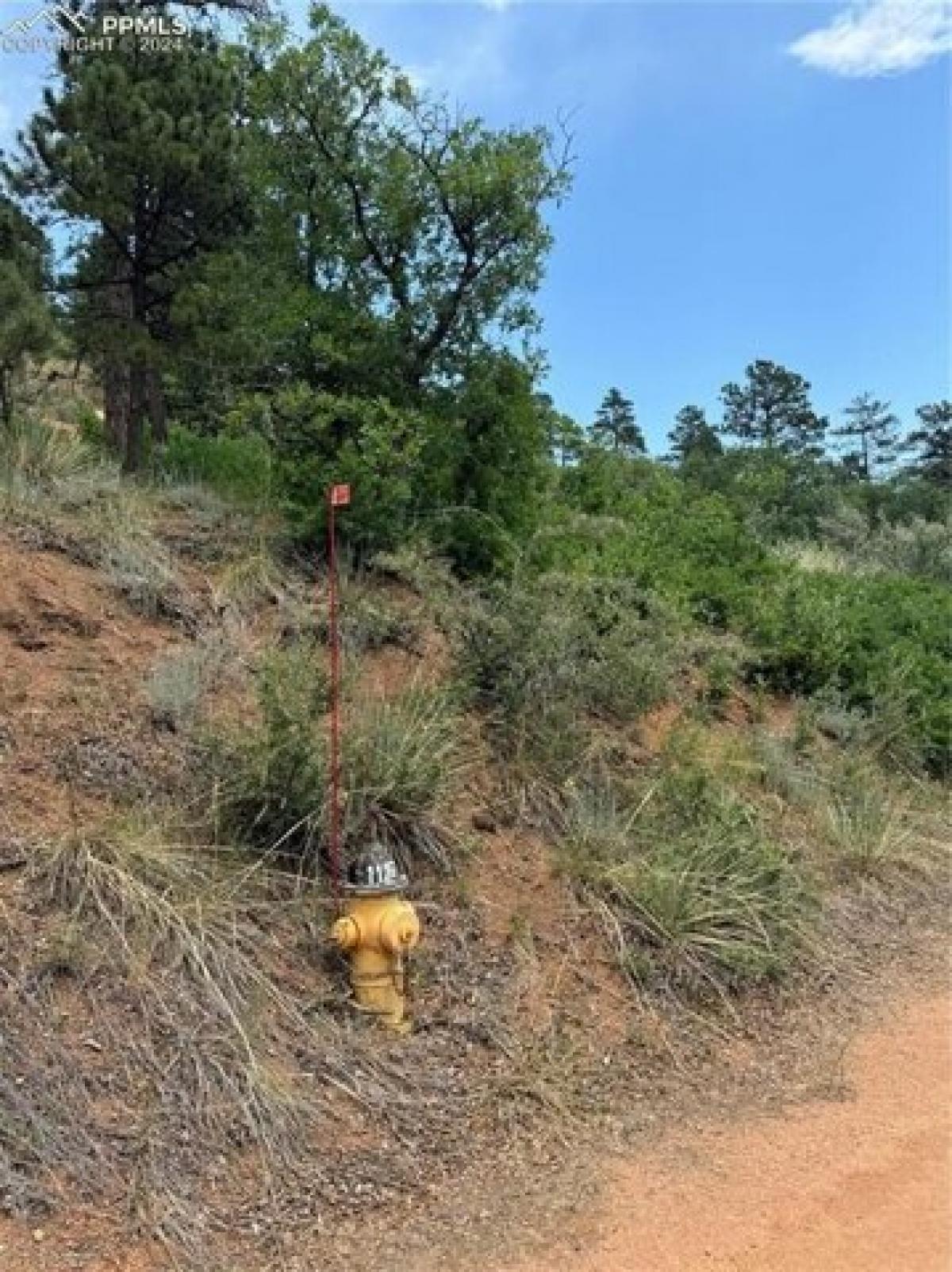 Picture of Residential Land For Sale in Green Mountain Falls, Colorado, United States