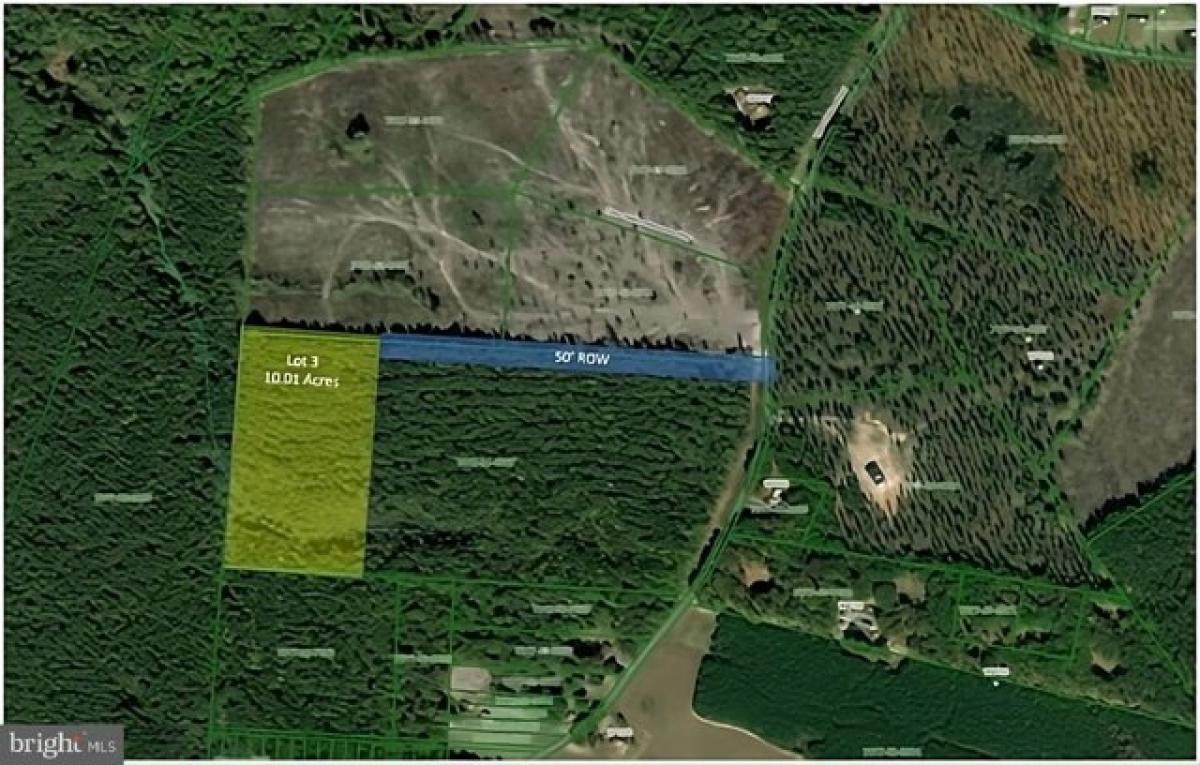 Picture of Residential Land For Sale in Beaverdam, Virginia, United States