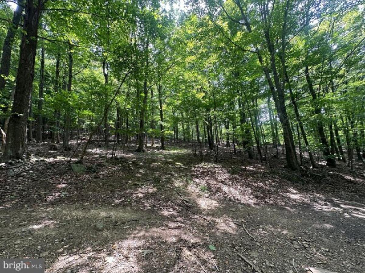 Picture of Residential Land For Sale in Maysville, West Virginia, United States