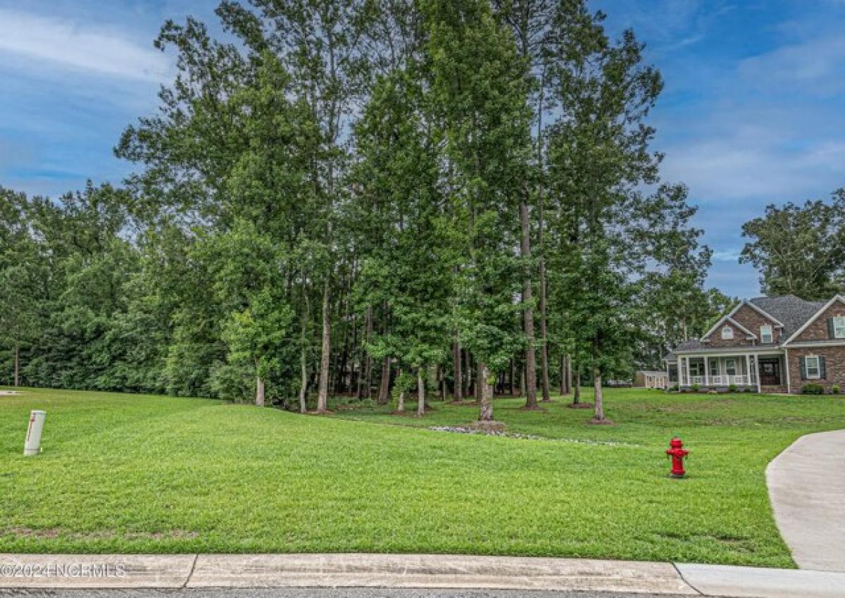 Picture of Residential Land For Sale in Greenville, North Carolina, United States