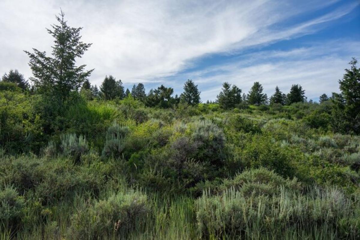 Picture of Residential Land For Sale in Tetonia, Idaho, United States