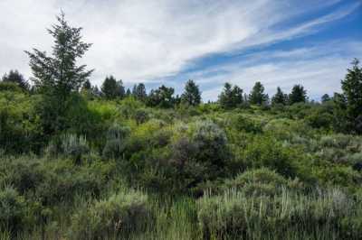 Residential Land For Sale in Tetonia, Idaho