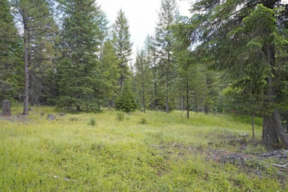 Picture of Residential Land For Sale in Bonners Ferry, Idaho, United States