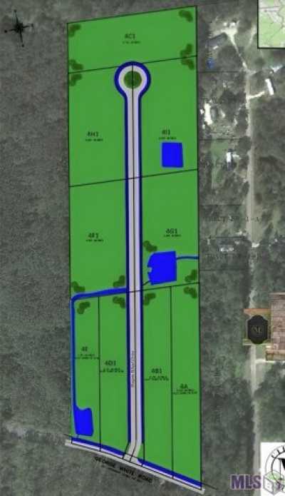 Residential Land For Sale in Holden, Louisiana