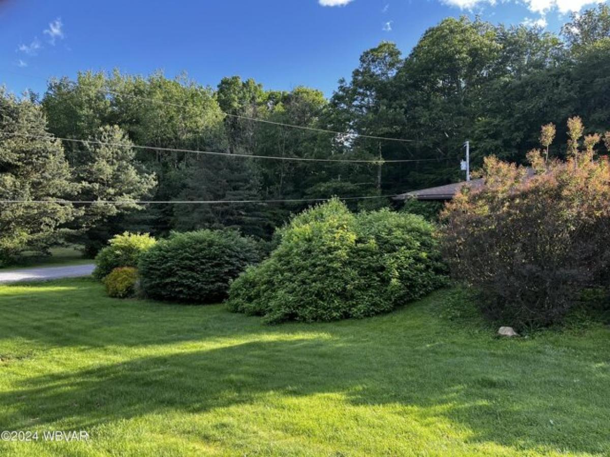 Picture of Home For Sale in Trout Run, Pennsylvania, United States