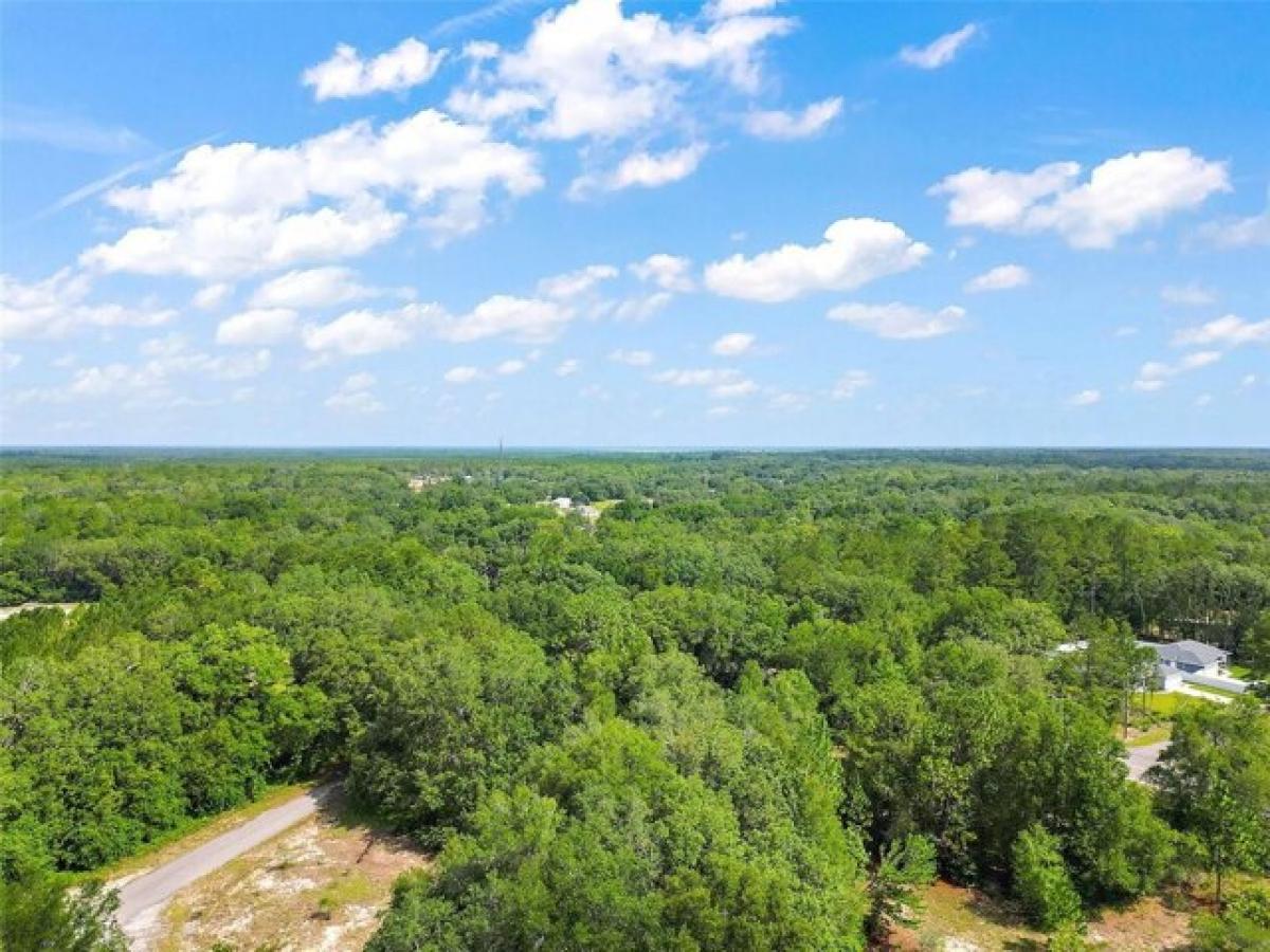 Picture of Residential Land For Sale in Ocklawaha, Florida, United States