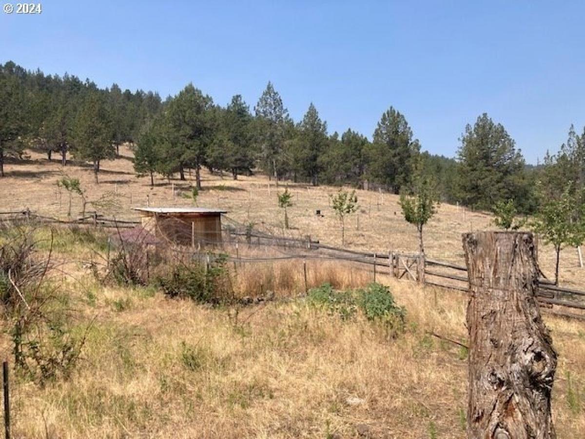 Picture of Home For Sale in Dayville, Oregon, United States