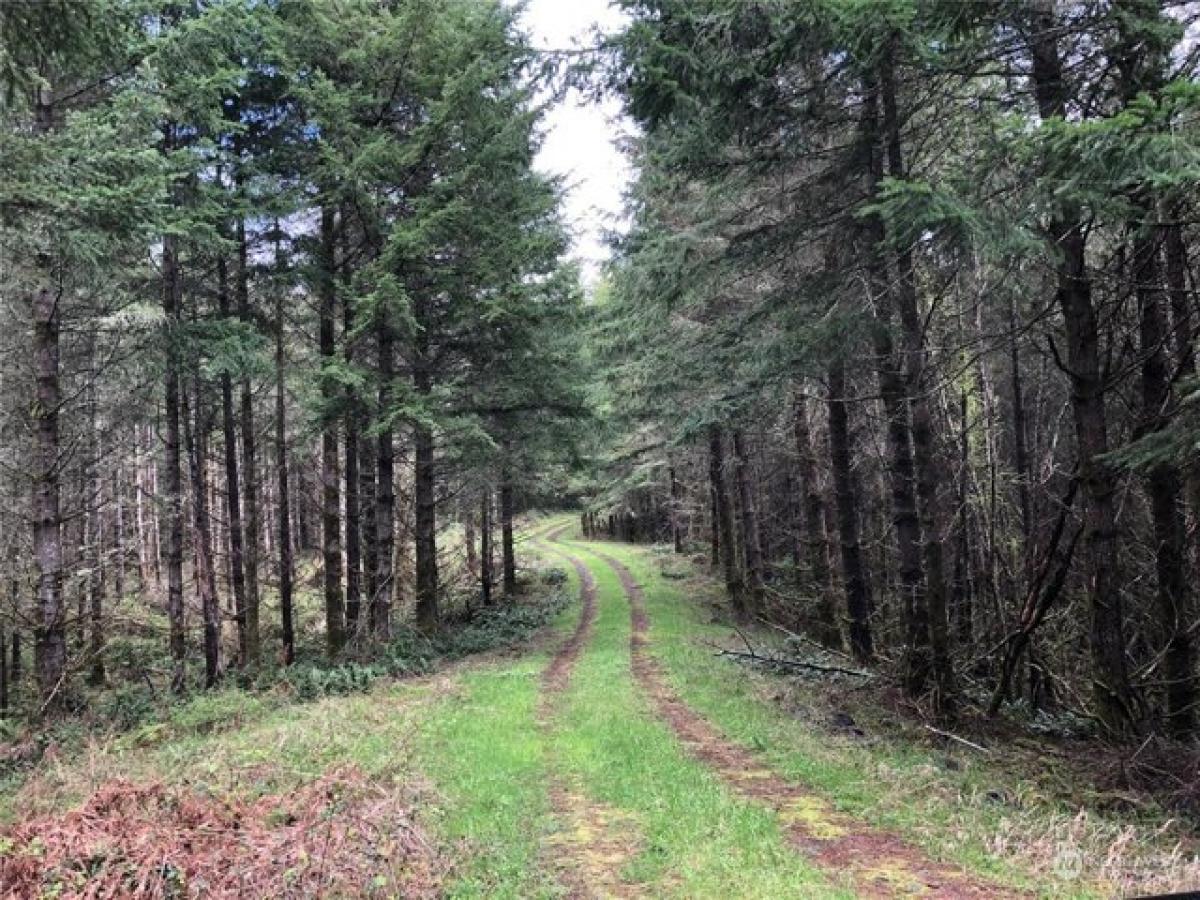 Picture of Residential Land For Sale in Tenino, Washington, United States