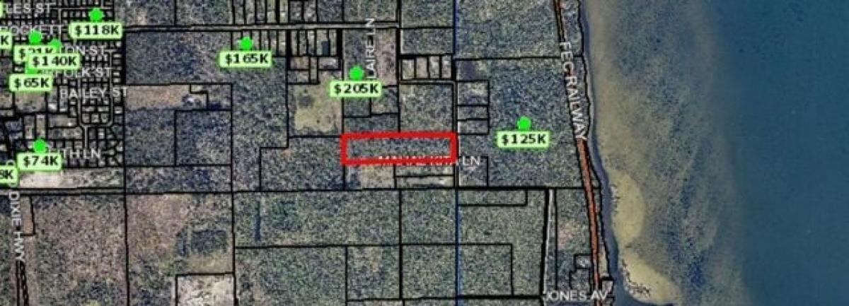 Picture of Residential Land For Sale in Mims, Florida, United States