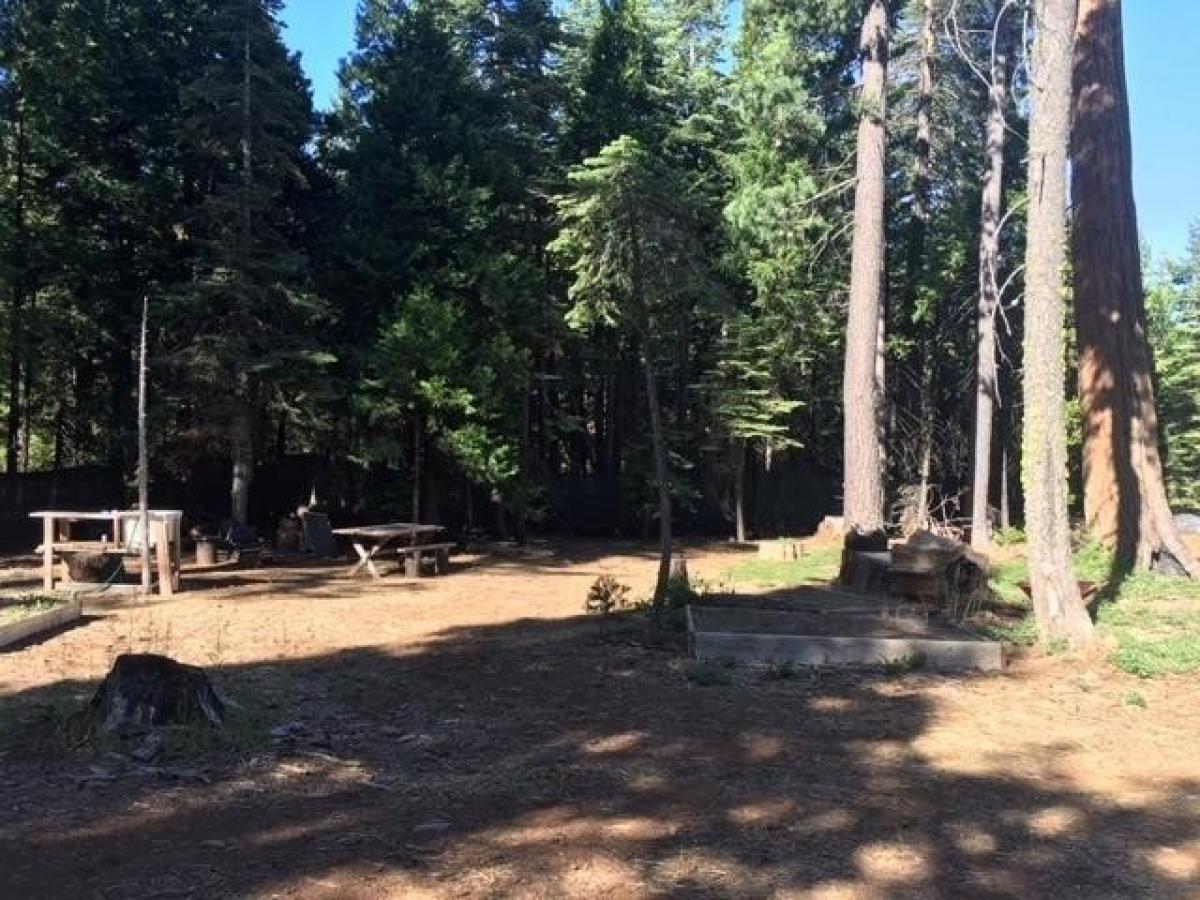 Picture of Residential Land For Sale in Nevada City, California, United States