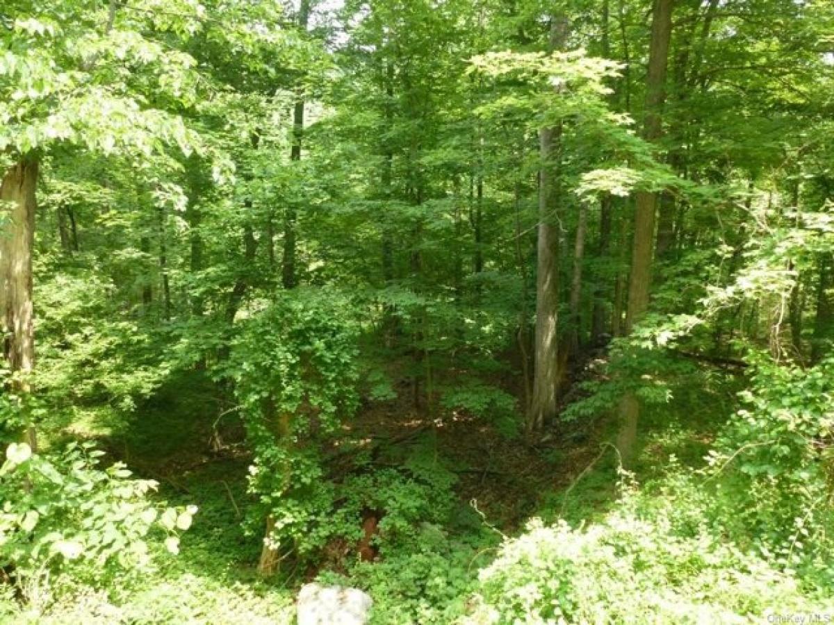 Picture of Residential Land For Sale in Putnam Valley, New York, United States