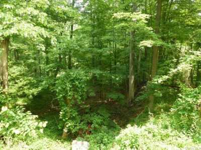 Residential Land For Sale in Putnam Valley, New York