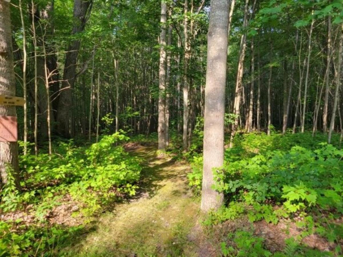 Picture of Residential Land For Sale in Barton City, Michigan, United States