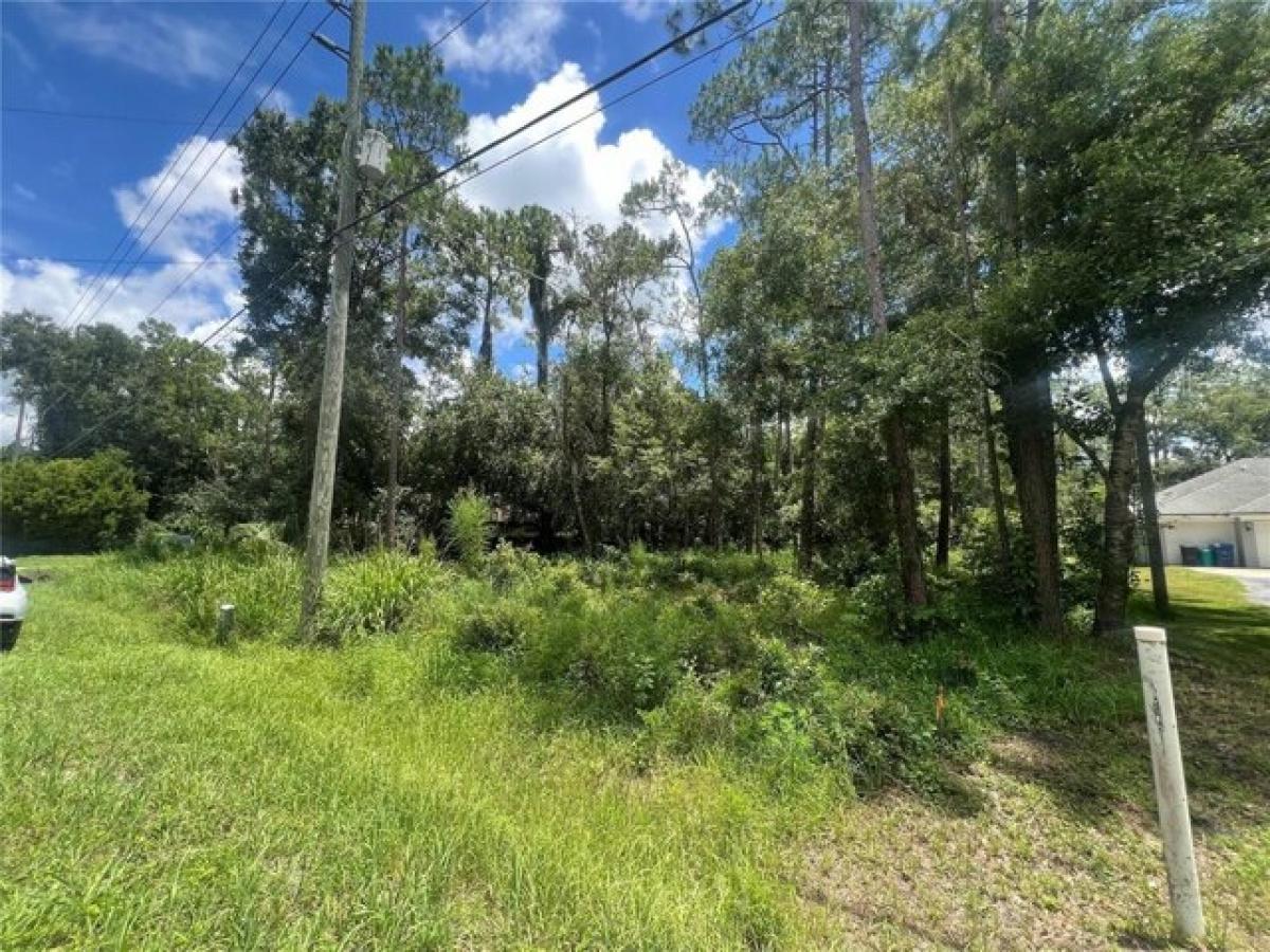 Picture of Residential Land For Sale in Wesley Chapel, Florida, United States