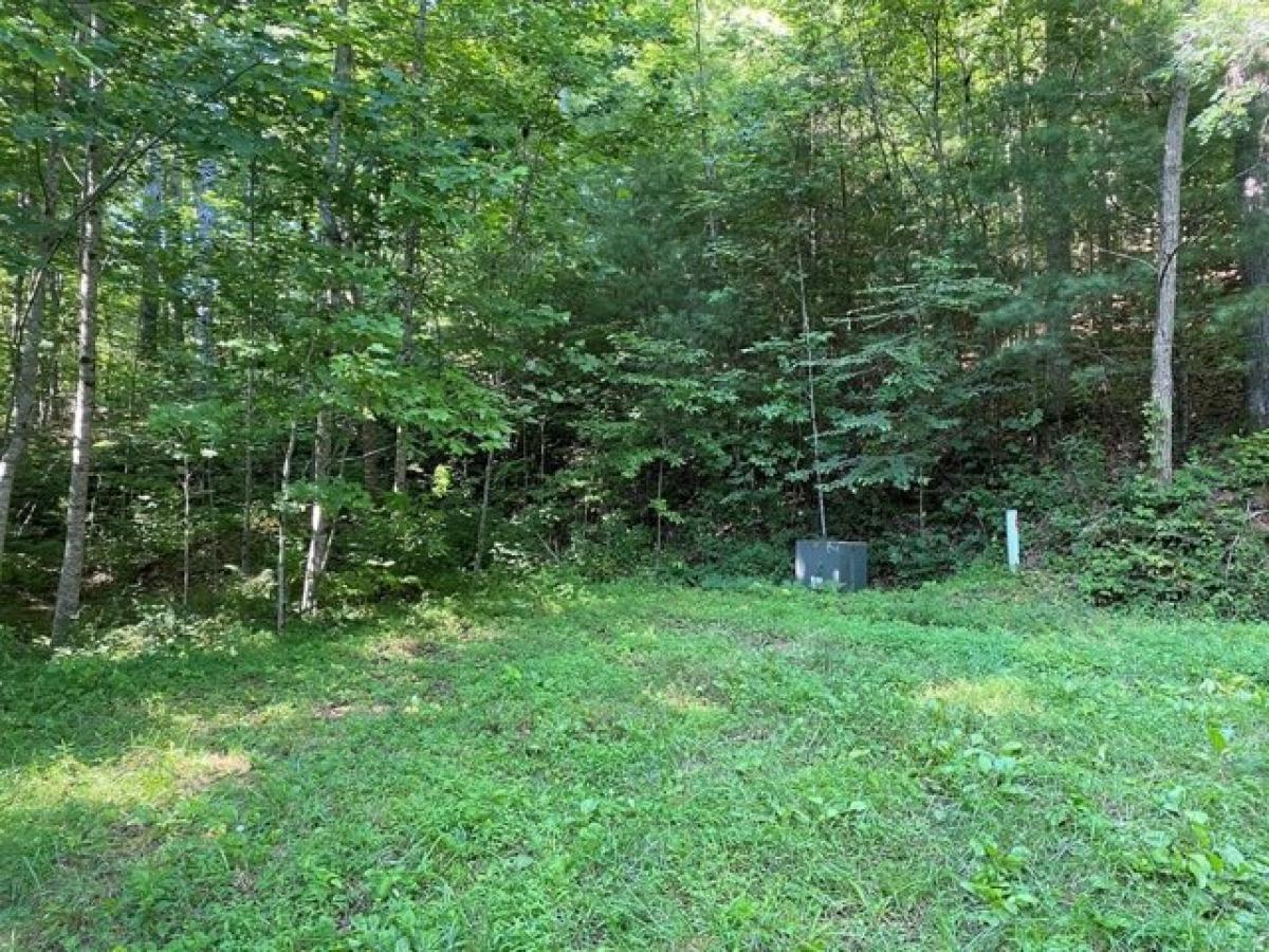 Picture of Residential Land For Sale in Bryson City, North Carolina, United States