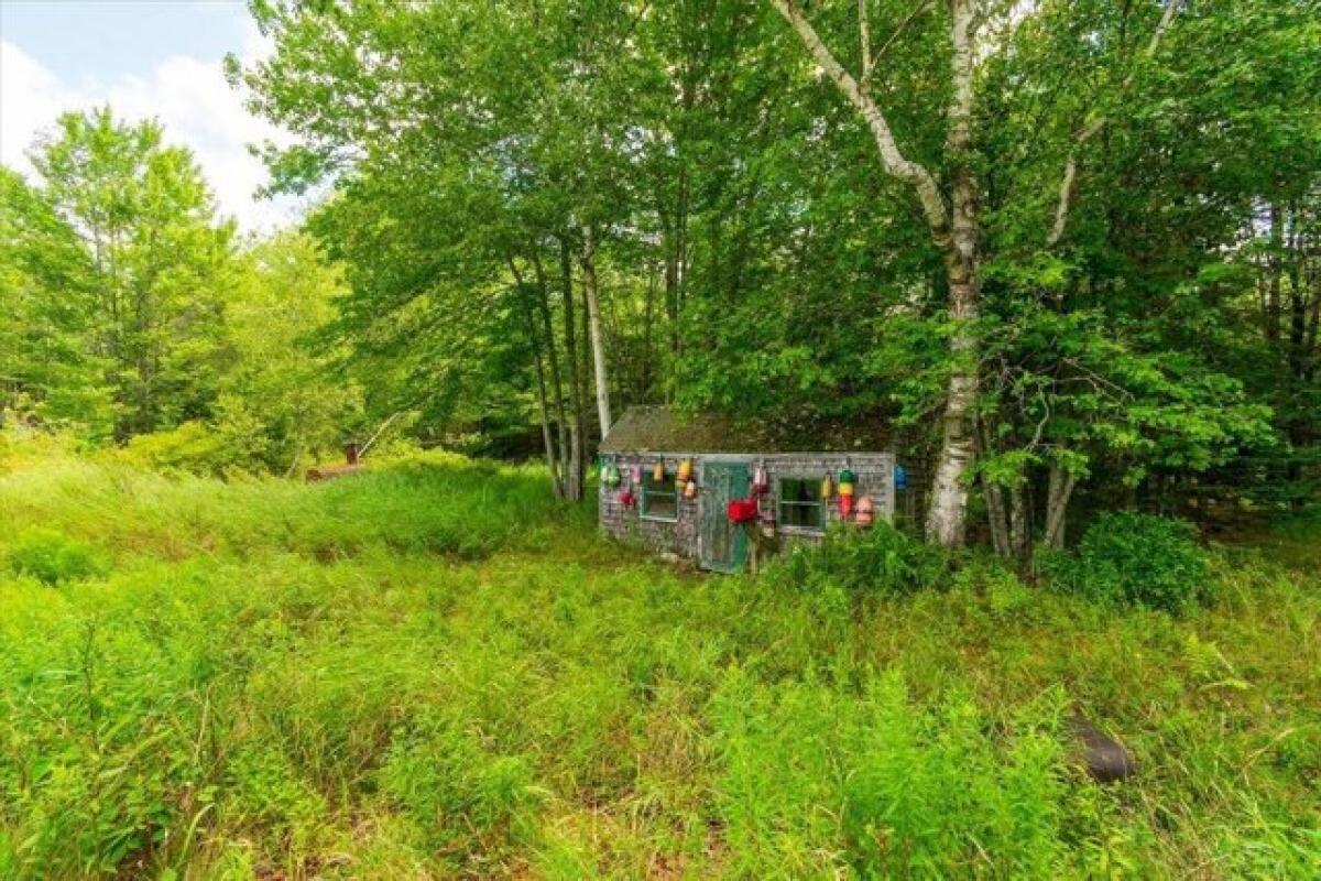 Picture of Home For Sale in Islesboro, Maine, United States