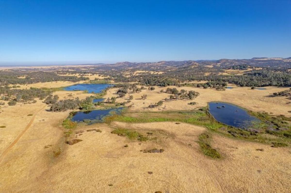 Picture of Residential Land For Sale in Grass Valley, California, United States