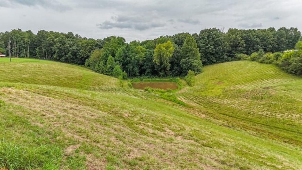 Picture of Home For Sale in Collinwood, Tennessee, United States