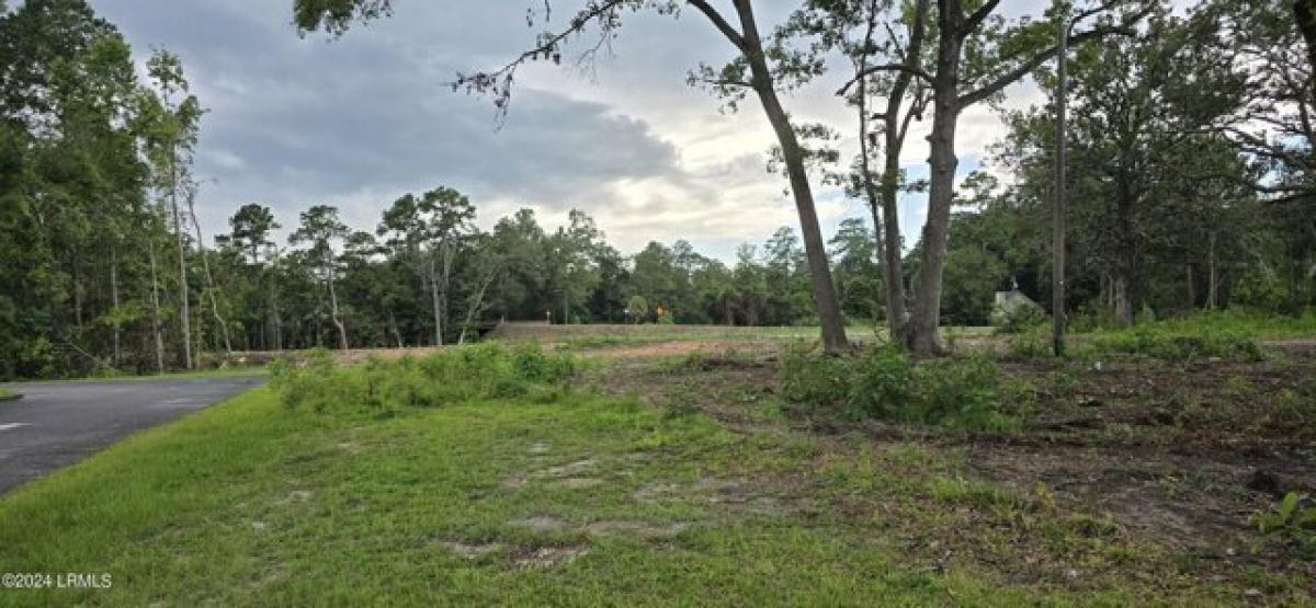 Picture of Residential Land For Sale in Yemassee, South Carolina, United States