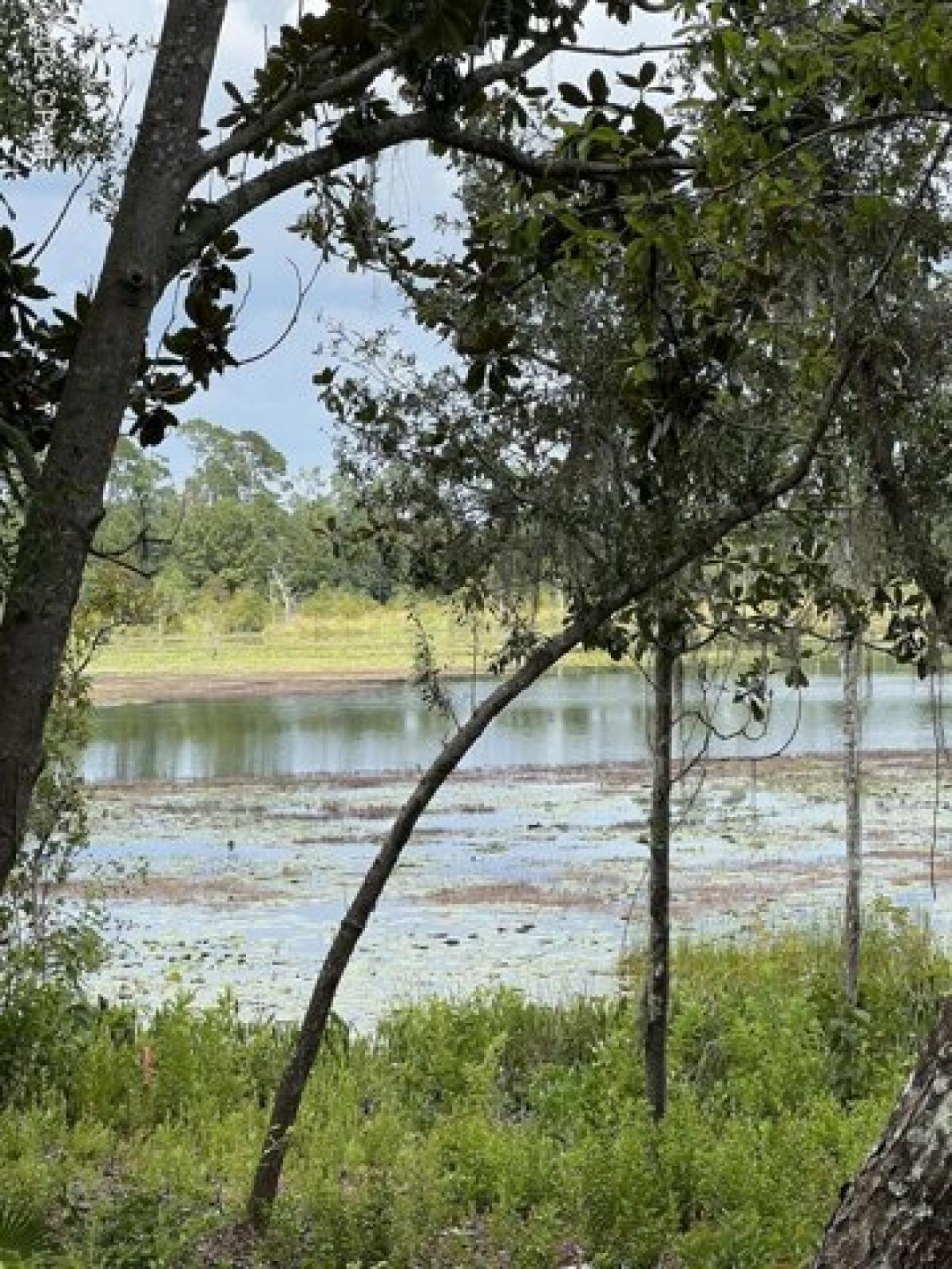 Picture of Residential Land For Sale in Southport, Florida, United States