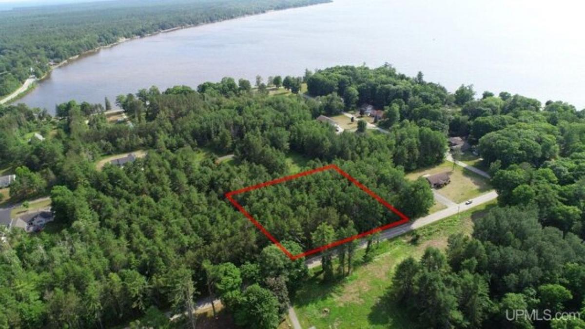 Picture of Residential Land For Sale in Manistique, Michigan, United States