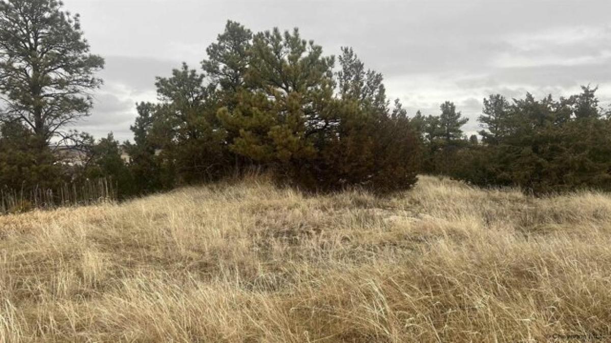 Picture of Residential Land For Sale in Pine Bluffs, Wyoming, United States