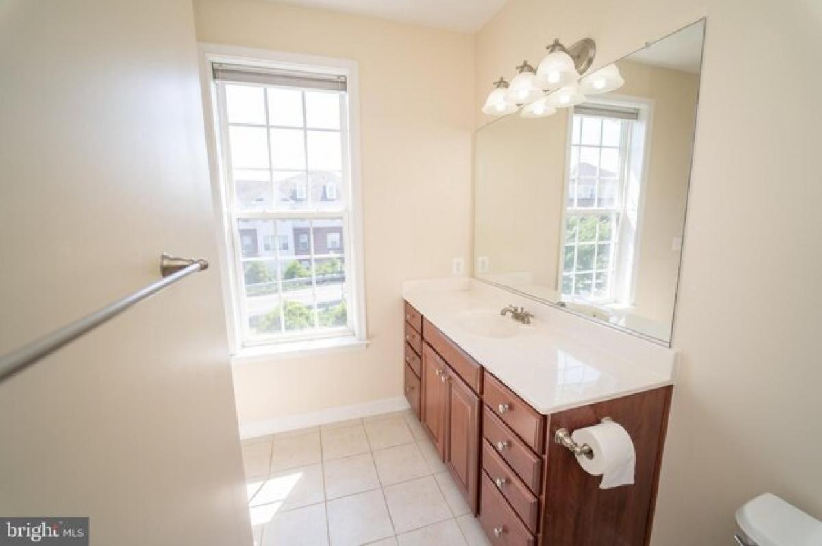 Picture of Apartment For Rent in Fredericksburg, Virginia, United States