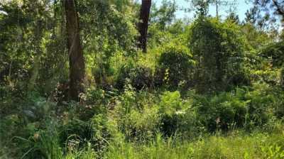 Residential Land For Sale in Satsuma, Florida