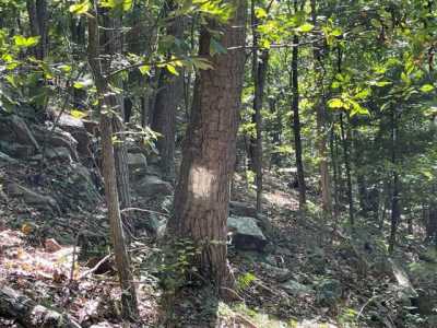 Residential Land For Sale in Hopewell, Pennsylvania