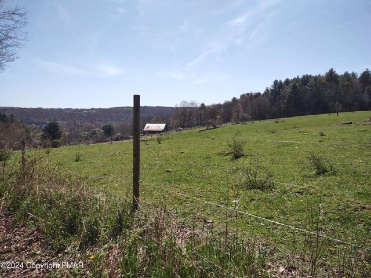 Picture of Home For Sale in Newfoundland, Pennsylvania, United States