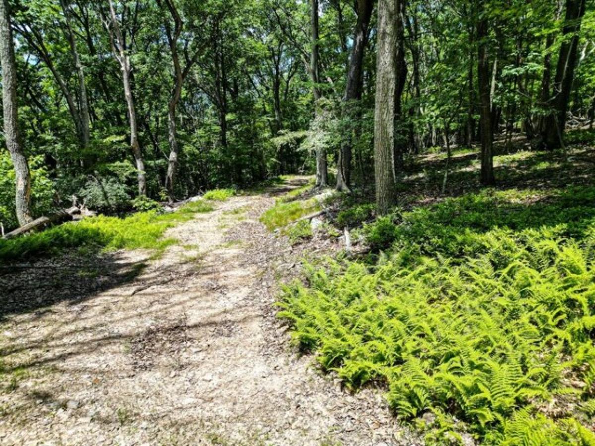 Picture of Residential Land For Sale in Baker, West Virginia, United States