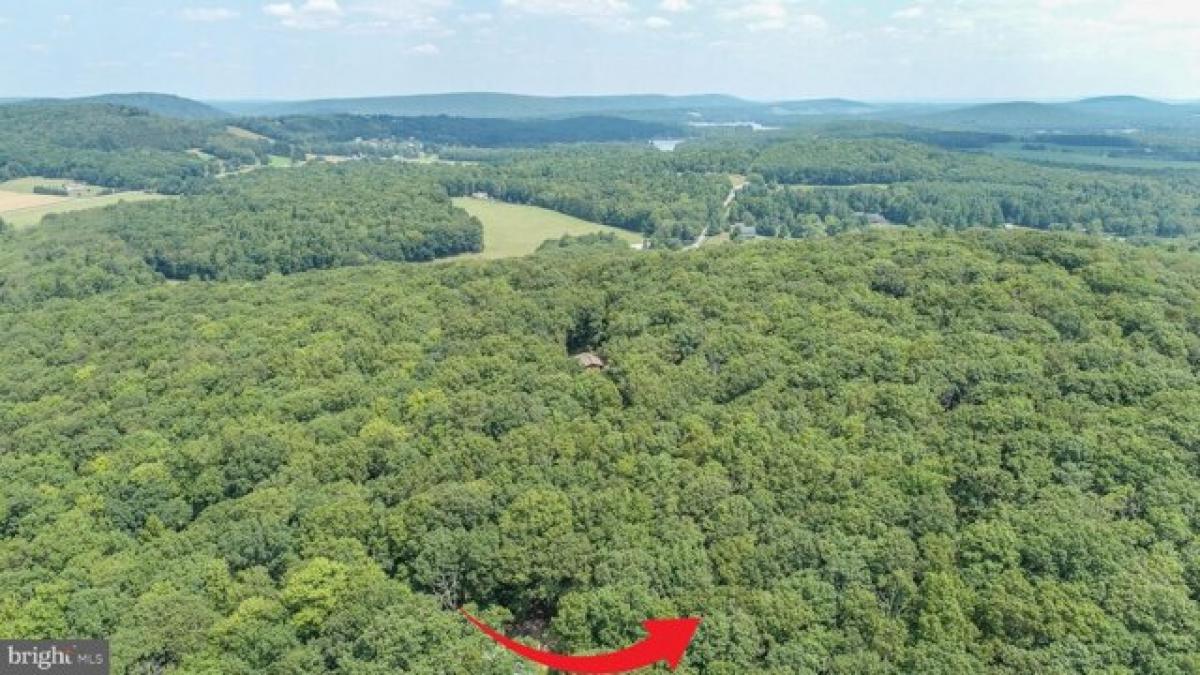 Picture of Residential Land For Sale in Oakland, Maryland, United States