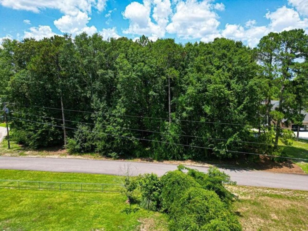 Picture of Residential Land For Sale in Sumter, South Carolina, United States