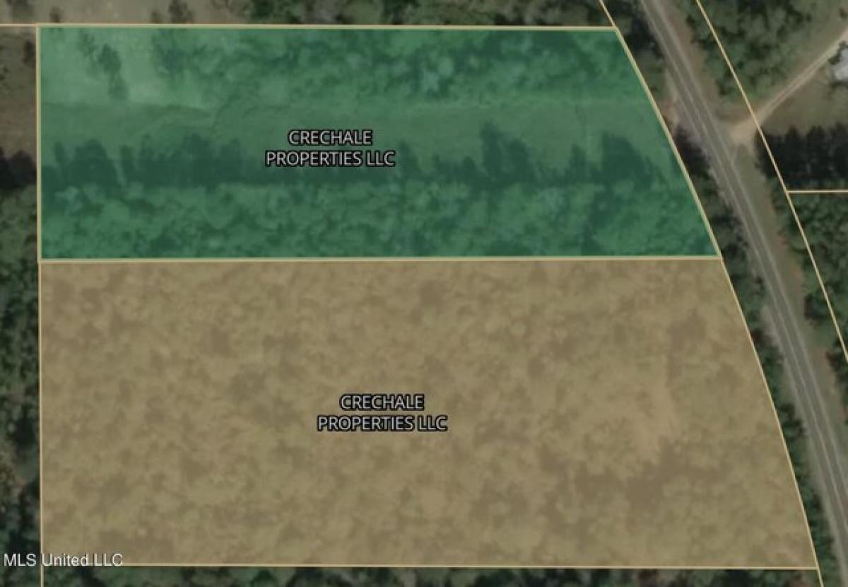 Picture of Residential Land For Sale in Purvis, Mississippi, United States