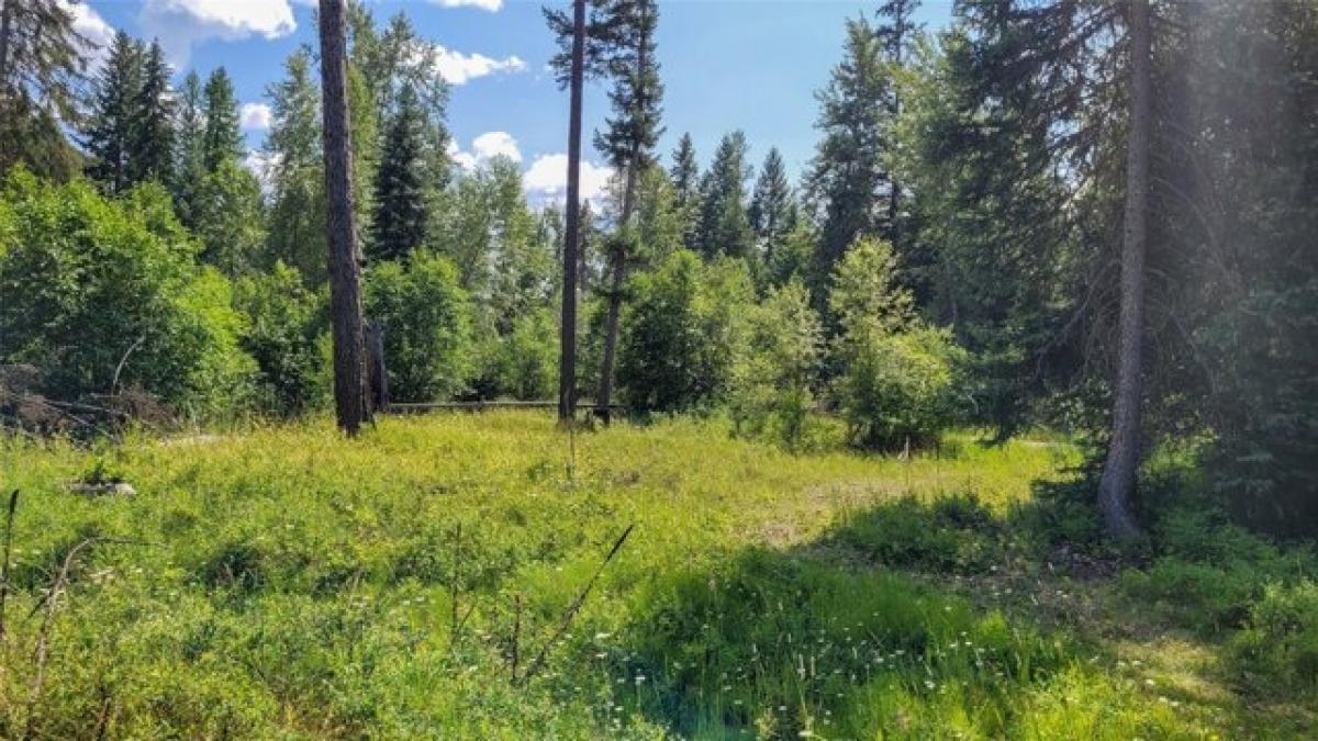 Picture of Residential Land For Sale in Libby, Montana, United States