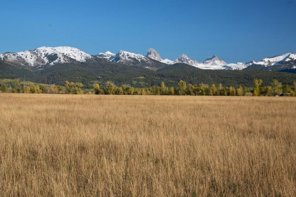 Picture of Residential Land For Sale in Tetonia, Idaho, United States