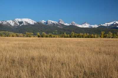 Residential Land For Sale in Tetonia, Idaho