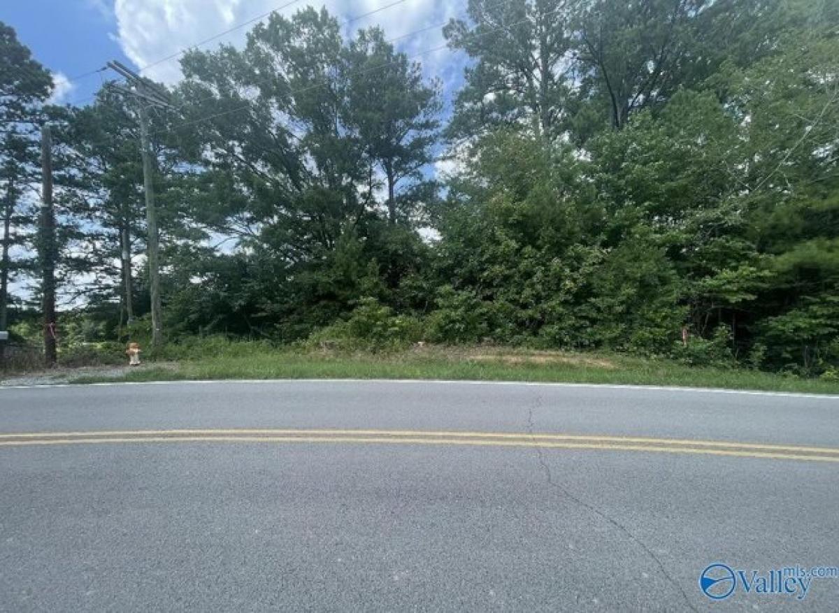 Picture of Residential Land For Sale in Guntersville, Alabama, United States