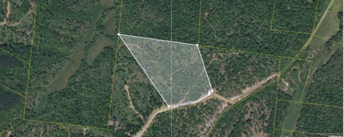 Picture of Residential Land For Sale in Waverly, Tennessee, United States