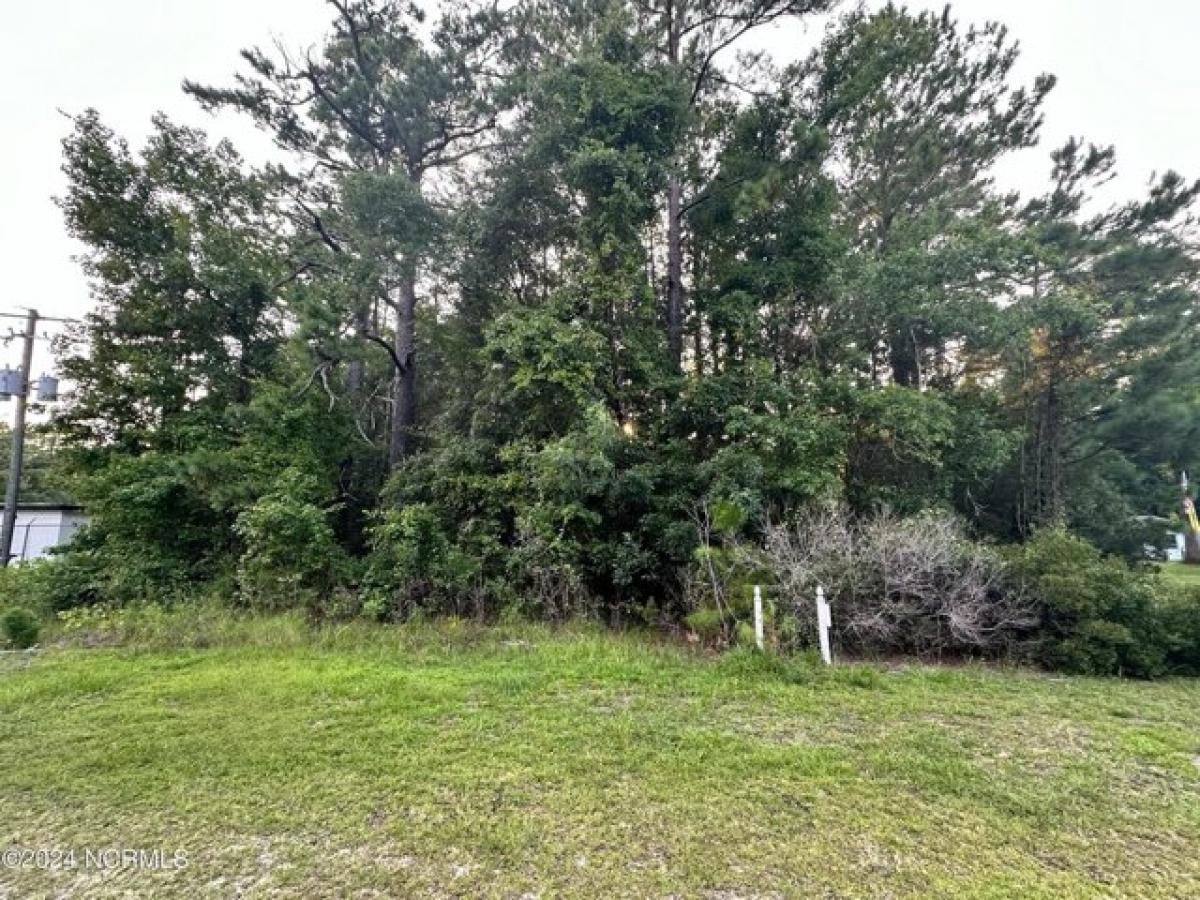 Picture of Residential Land For Sale in Jacksonville, North Carolina, United States