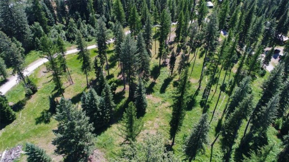 Picture of Residential Land For Sale in Libby, Montana, United States