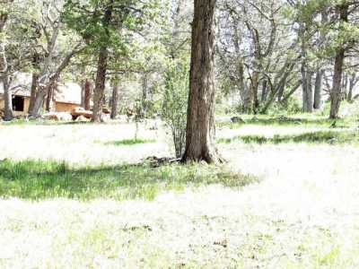 Residential Land For Sale in Klamath Falls, Oregon