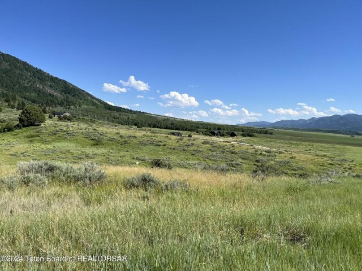 Picture of Residential Land For Sale in Swan Valley, Idaho, United States