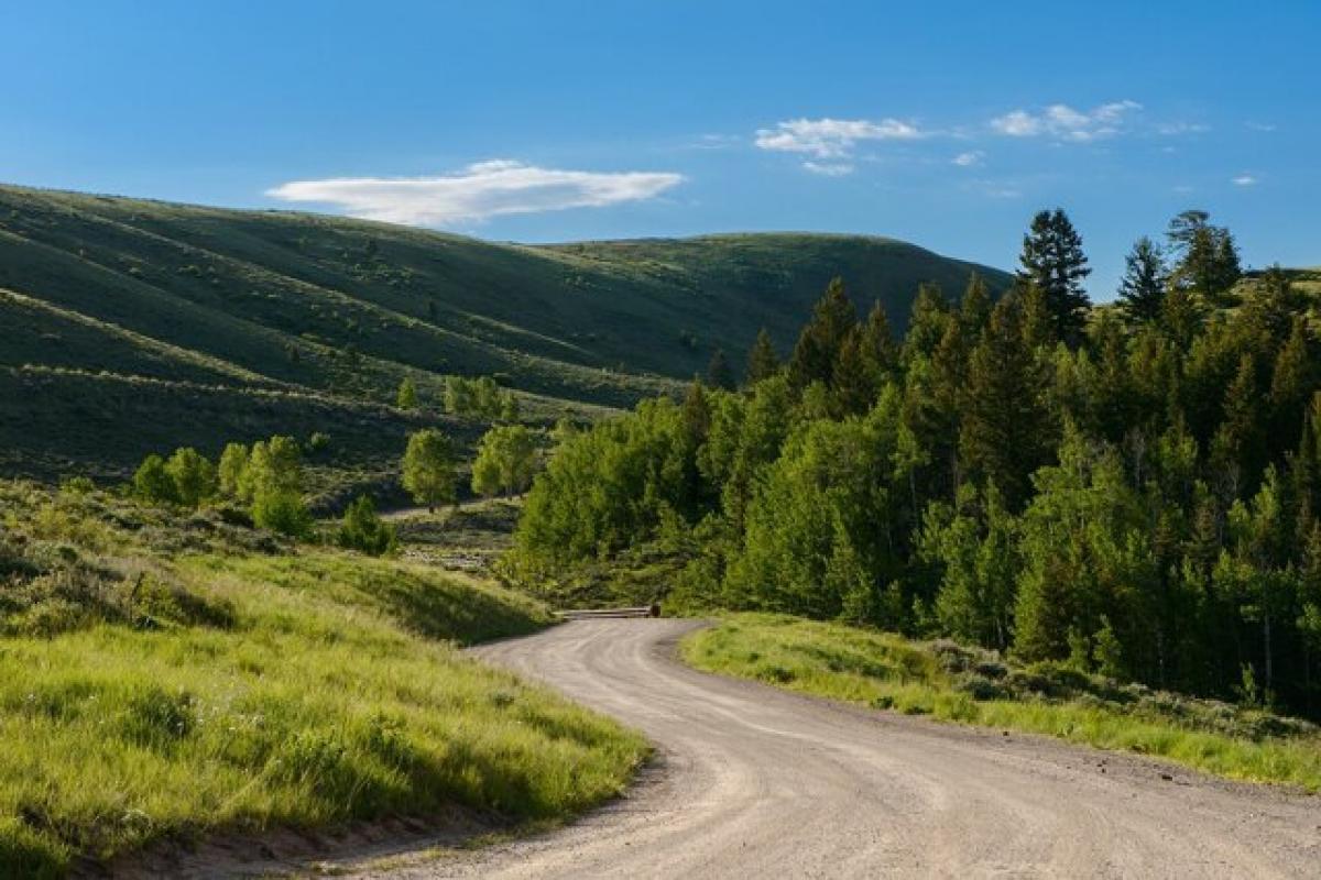 Picture of Residential Land For Sale in Jackson, Wyoming, United States