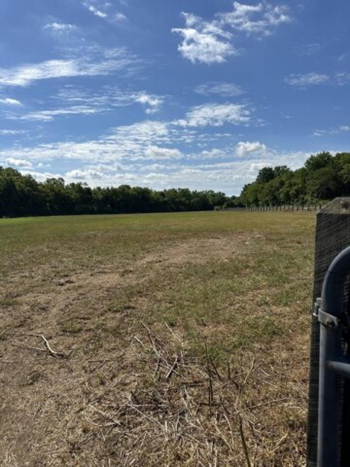 Picture of Residential Land For Sale in Fayetteville, Tennessee, United States