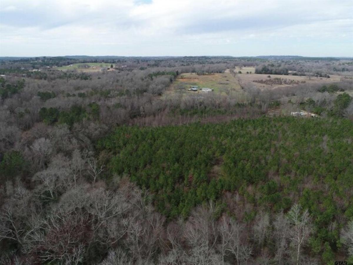 Picture of Residential Land For Sale in Gilmer, Texas, United States